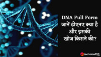 DNA Full Form जानें डीएनए क्या है और इसकी खोज किसने की