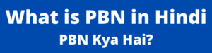 PBN Kya Hai | How to Earn Money with PBN in Hindi 2024