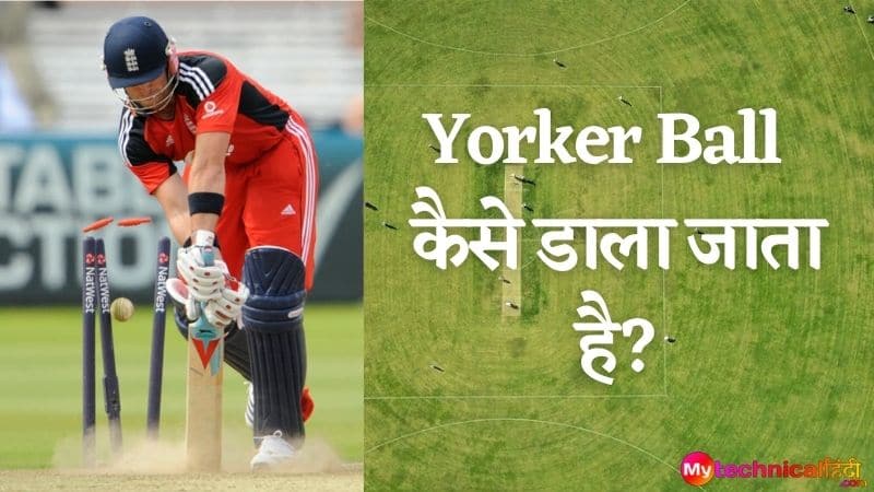 Yorker Ball  कैसे डाला जाता है?